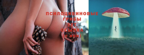бошки Бугульма